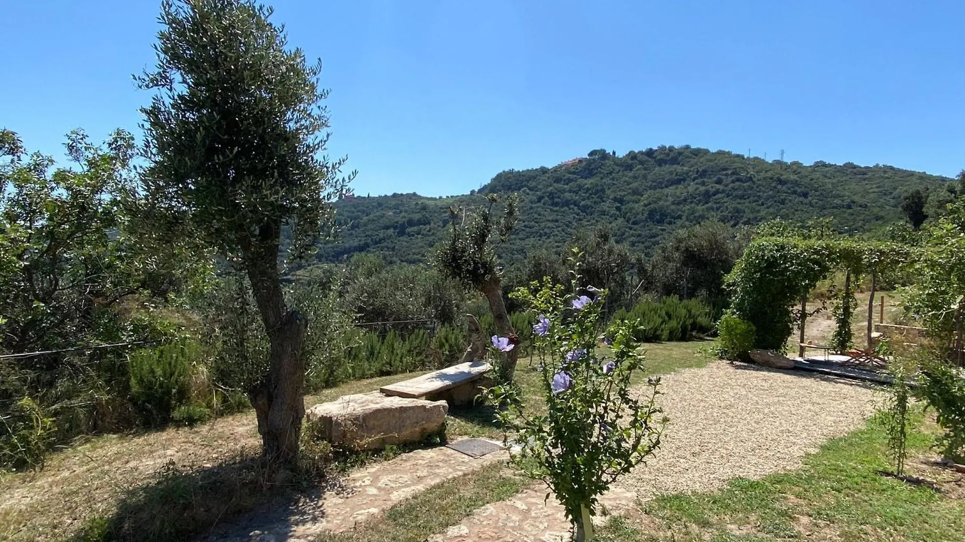 Camamila Sea View Panoramic Home Finale Ligure 0*,  Italy