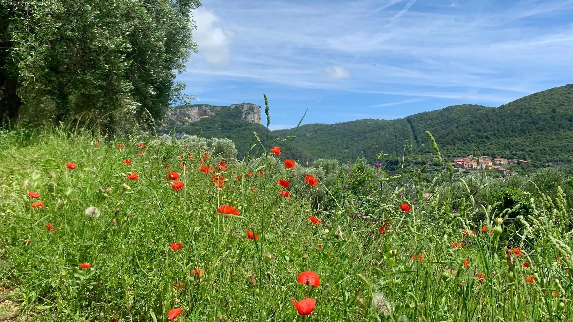Camamila Sea View Panoramic Home Finale Ligure 0*,