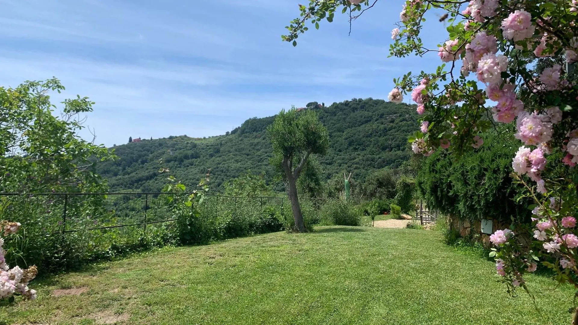 Camamila Sea View Panoramic Home Finale Ligure 0*,  Italy